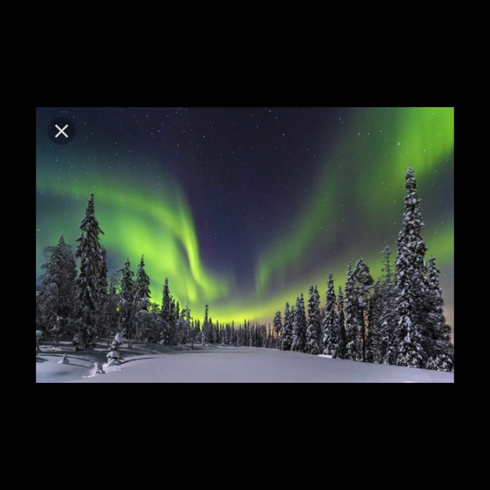 Meet your Posher, Cristy